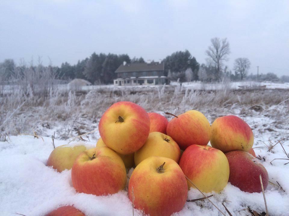 Chamedafne W Puszczy Kampinoskiej Brochów Exterior foto