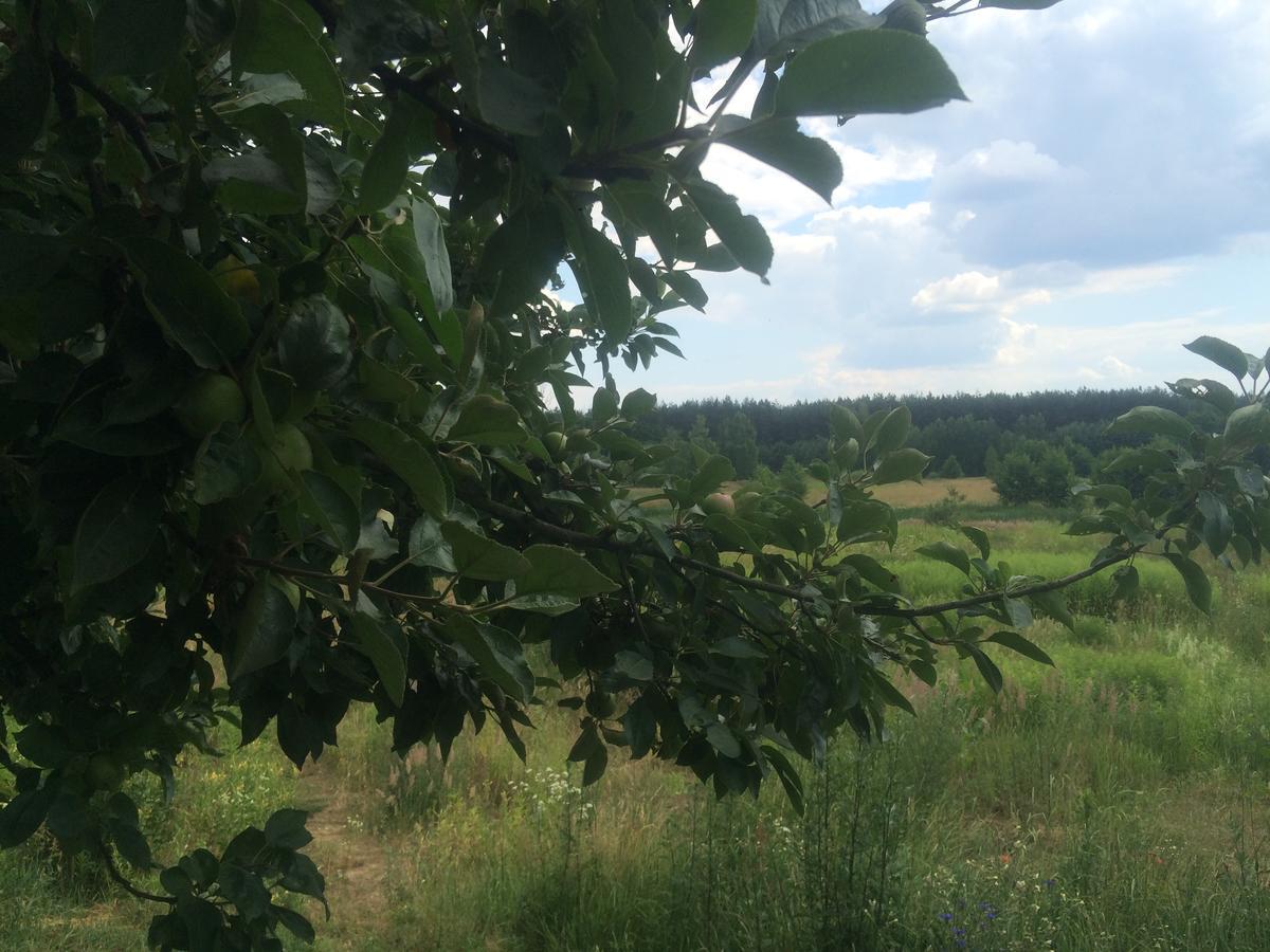 Chamedafne W Puszczy Kampinoskiej Brochów Exterior foto