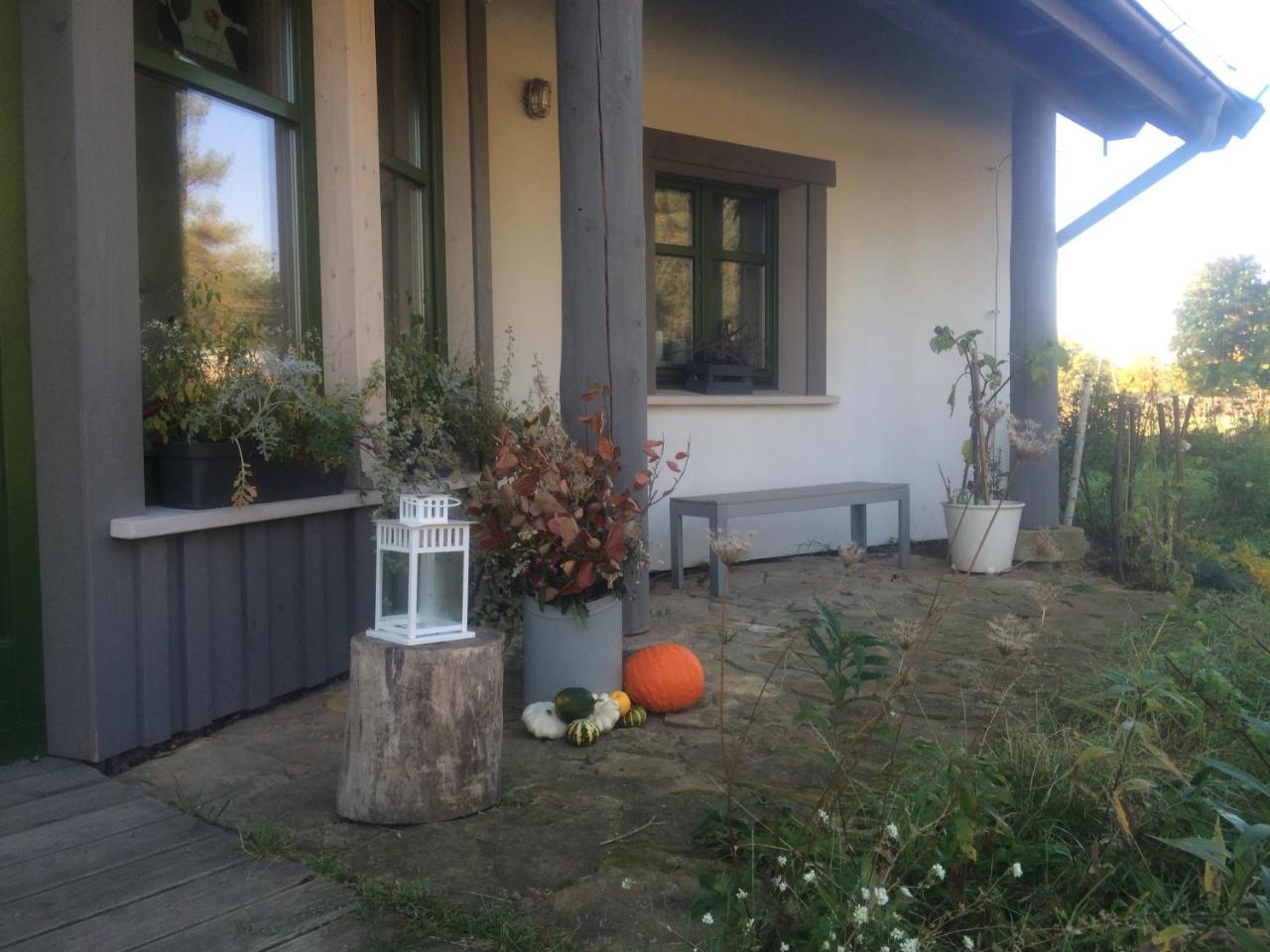 Chamedafne W Puszczy Kampinoskiej Brochów Exterior foto