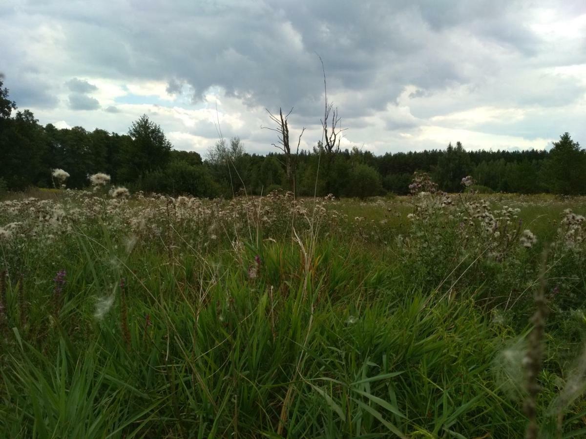 Chamedafne W Puszczy Kampinoskiej Brochów Exterior foto