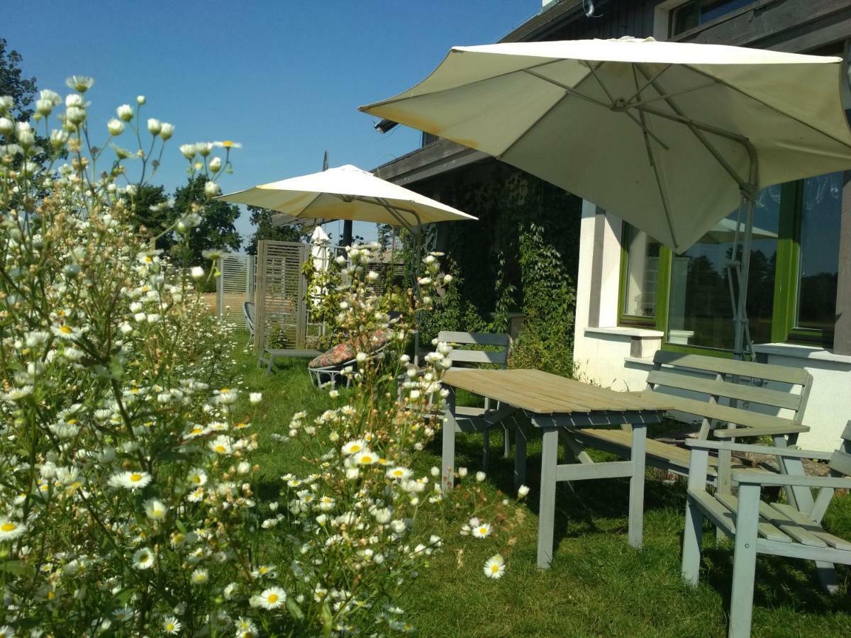 Chamedafne W Puszczy Kampinoskiej Brochów Exterior foto