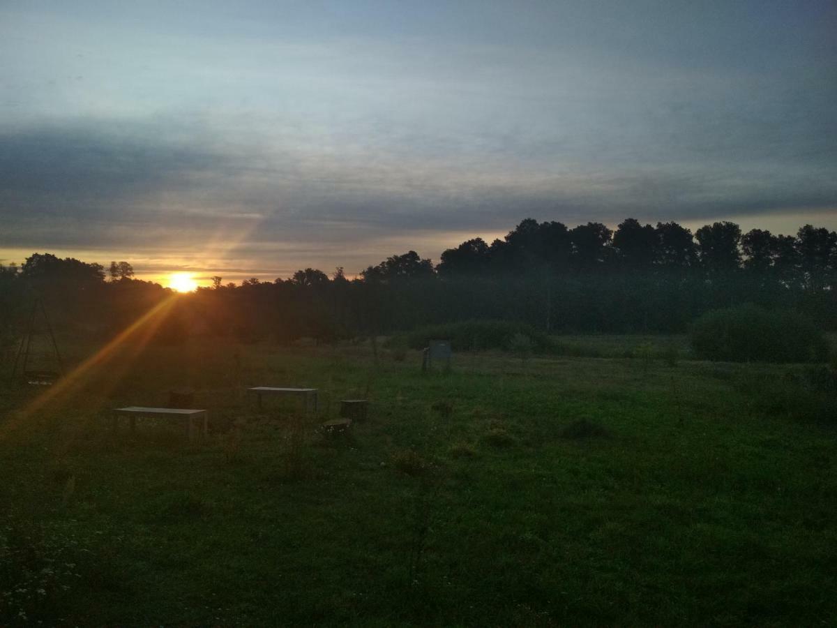 Chamedafne W Puszczy Kampinoskiej Brochów Exterior foto